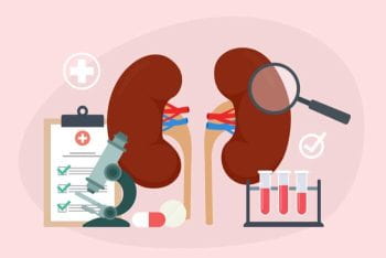 Decorative graphic conceptualizing kidney research