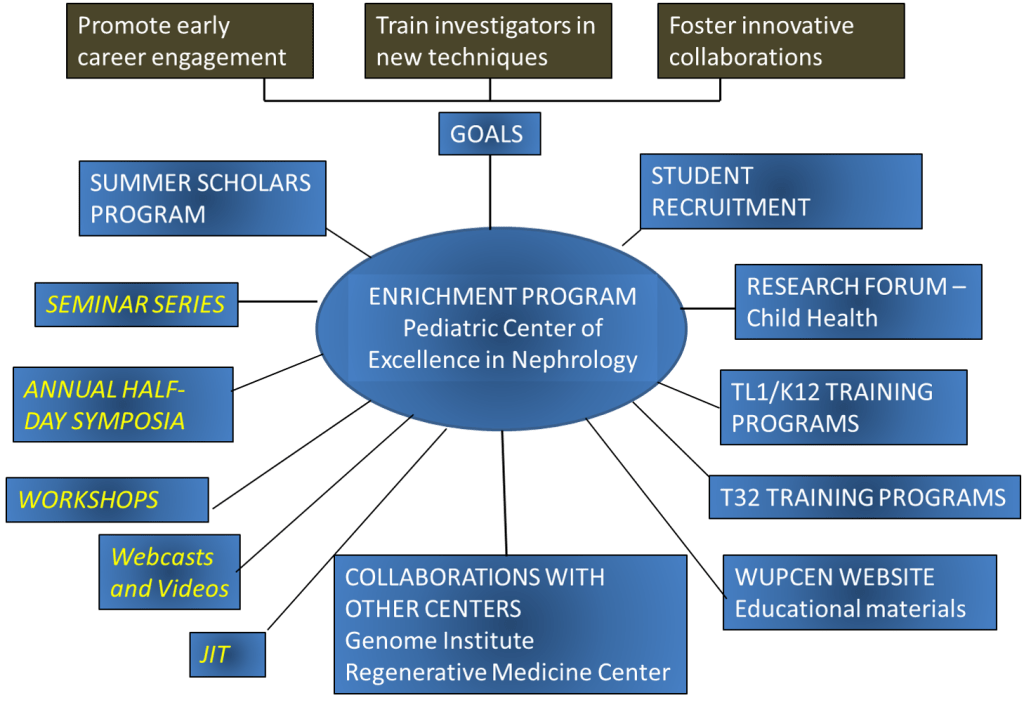 Chart visualizing PCEN's educational goals: promoting early career engagement, train investigators in new techniques and fostering innovative collaborations.  Achieved via a variety of collaborations with other centers, recruitment and educational programs.